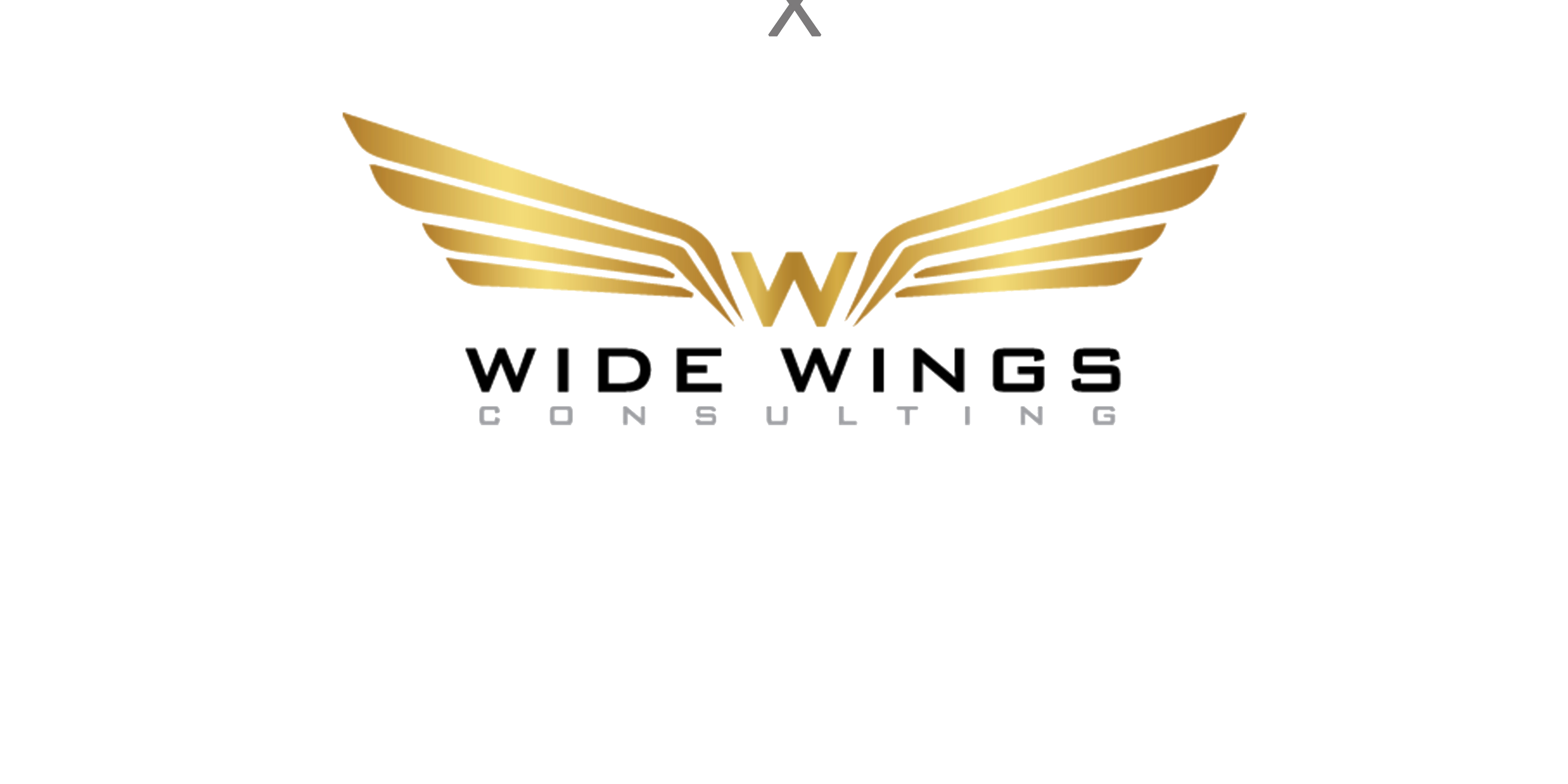 WideWings Consulting